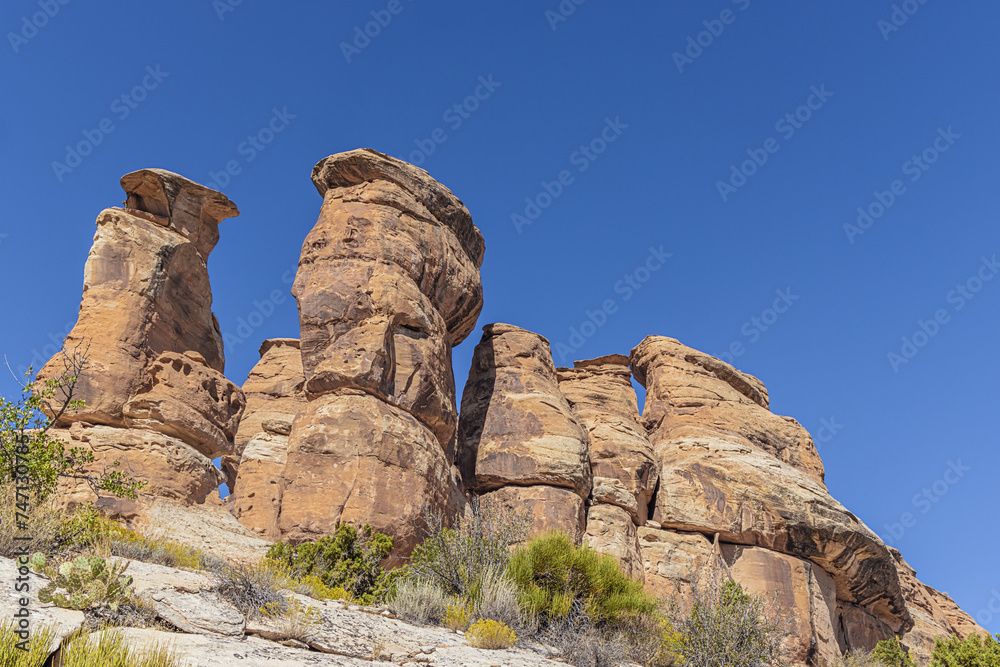 Fototapeta premium Close up of strangely formed rock formations at the Devil's Kitchen in the Colorado National Monument