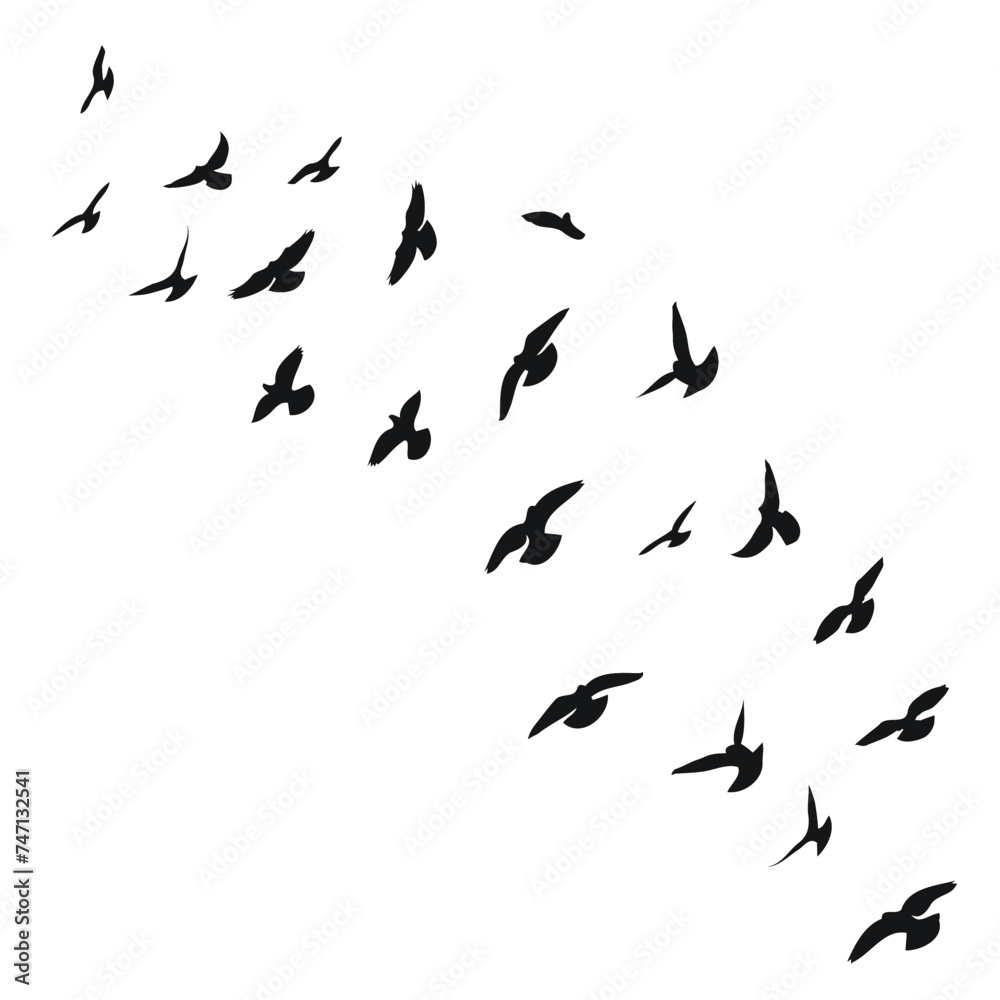 Silhouette sketch of a flock of flying birds, flight in different