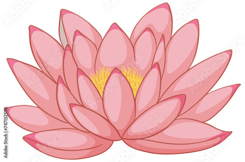 Vector graphic of a blooming pink lotus flower