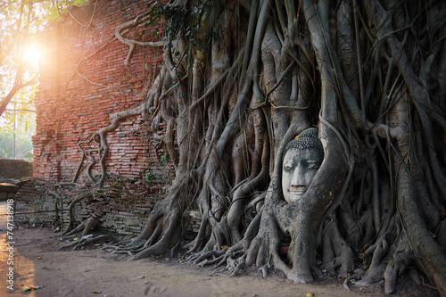 Ancient Budha statue's face in the tree roots in Ayuthaya khmer temple, Thailand.