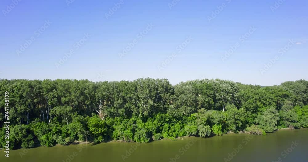 Drone flies and captures river Tisza green trees and plain countryside in Serbia Drone flies and captures river Tisza green trees and plain countryside in Serbia