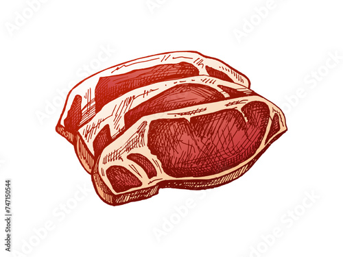 Organic food. Hand-drawn colored vector sketch of grilled beef steak, pieces of meat. Doodle vintage illustration. Decorations for the menu of cafes and labels. Engraved image..