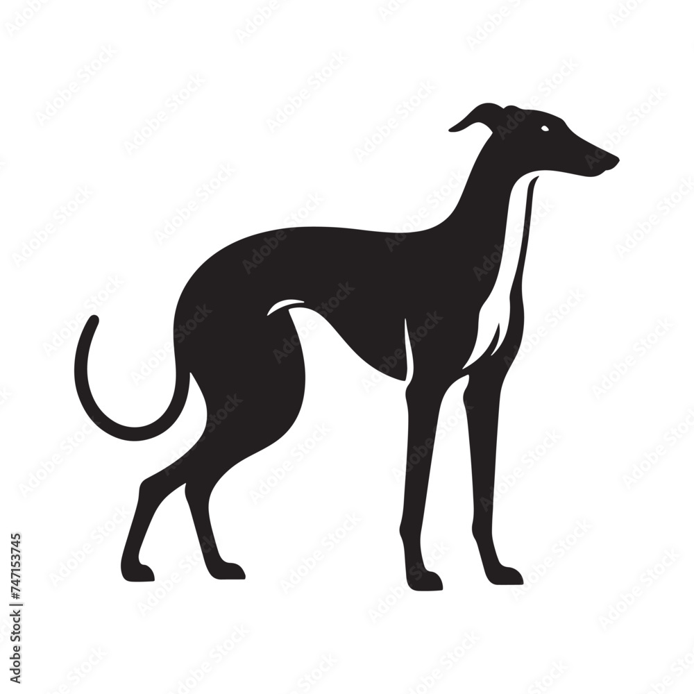 Elegant Grace: Vector Greyhound Silhouette - Capturing the Majestic Beauty and Graceful Form of this Iconic Canine Breed.