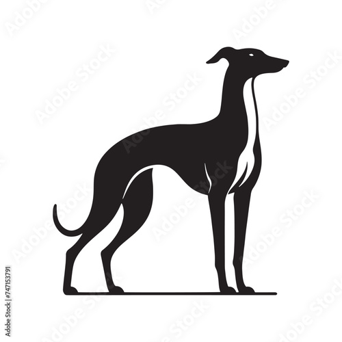 Elegant Grace  Vector Greyhound Silhouette - Capturing the Majestic Beauty and Graceful Form of this Iconic Canine Breed.