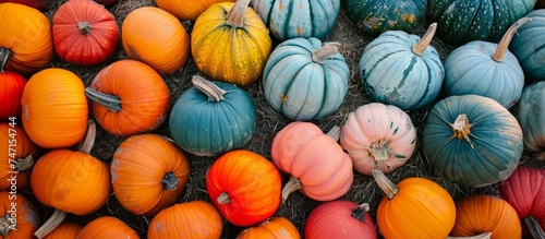 Autumn Harvest: Colorful Pumpkins on Rustic Hay Pile, Seasonal Farm Decor