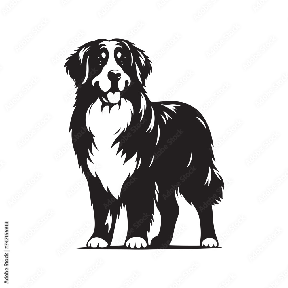 Bernese Mountain Dog Silhouette: A Majestic Tribute to the Strength, Loyalty, and Beauty of this Beloved Canine Companion. Vector Bernese Mountain Dog Silhouette. Bernese Mountain Dog Silhouette: A Majestic Tribute to the Strength, Loyalty, and Beauty of this Beloved Canine Companion. Vector Bernese Mountain Dog Silhouette.