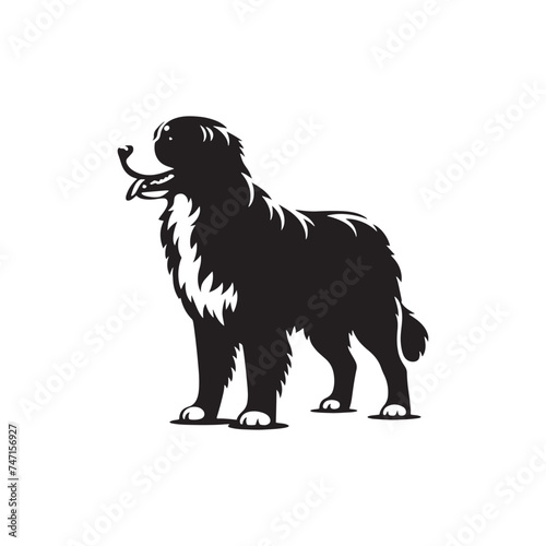 Bernese Mountain Dog Silhouette: A Majestic Tribute to the Strength, Loyalty, and Beauty of this Beloved Canine Companion. Vector Bernese Mountain Dog Silhouette.