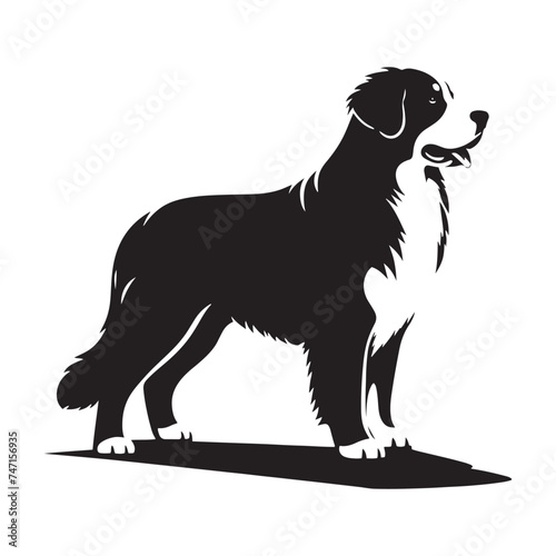 Bernese Mountain Dog Silhouette: A Majestic Tribute to the Strength, Loyalty, and Beauty of this Beloved Canine Companion. Vector Bernese Mountain Dog Silhouette.