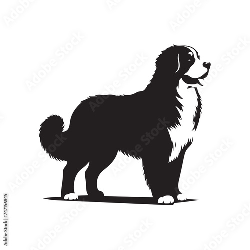 Bernese Mountain Dog Silhouette: A Majestic Tribute to the Strength, Loyalty, and Beauty of this Beloved Canine Companion. Vector Bernese Mountain Dog Silhouette.