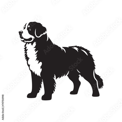 Bernese Mountain Dog Silhouette: A Majestic Tribute to the Strength, Loyalty, and Beauty of this Beloved Canine Companion. Vector Bernese Mountain Dog Silhouette.