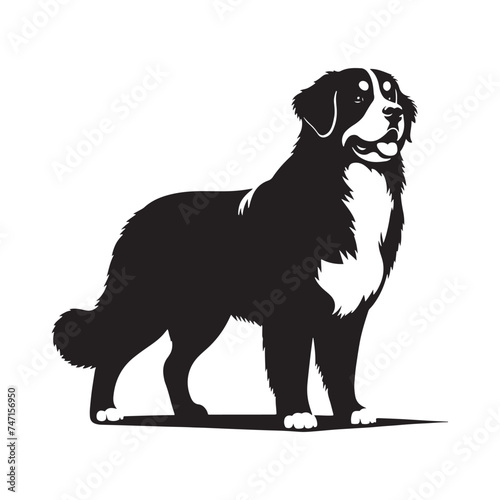 Bernese Mountain Dog Silhouette: A Majestic Tribute to the Strength, Loyalty, and Beauty of this Beloved Canine Companion. Vector Bernese Mountain Dog Silhouette.