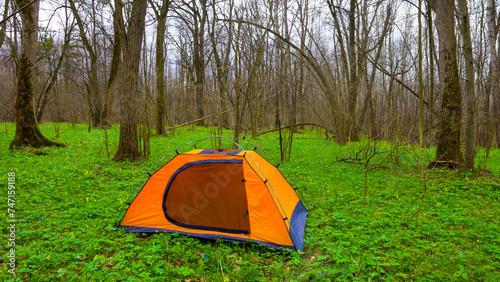 orange touristic tent stay among green forest glade  seasonal travel scene