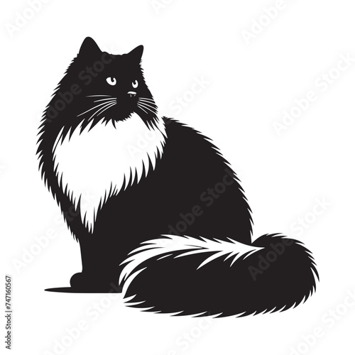 Graceful Ragdoll: Vector Silhouette - Capturing the Elegance and Charm of the Beloved Ragdoll Cat Breed in Elegant Form, Vector Ragdoll, Ragdoll Silhouette photo