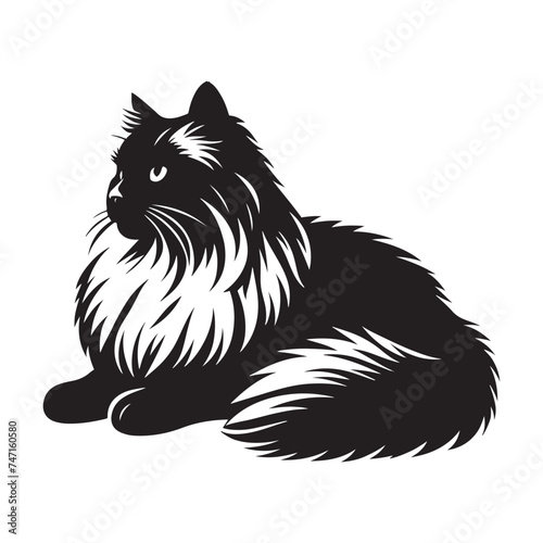 Graceful Ragdoll: Vector Silhouette - Capturing the Elegance and Charm of the Beloved Ragdoll Cat Breed in Elegant Form, Vector Ragdoll, Ragdoll Silhouette