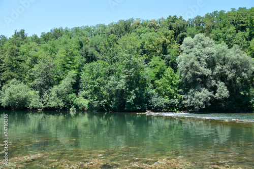 Detail of river Kupa near Orljakovo in Croatia