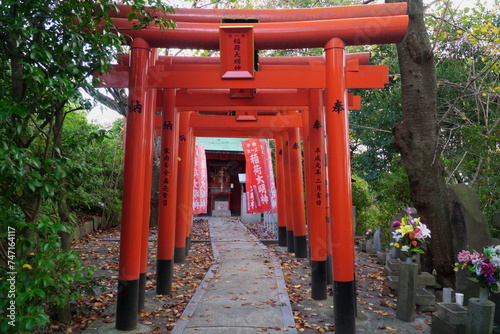 愛宕神社境内の外れにあるたくさんの鳥居と大明神 © yamasemi film
