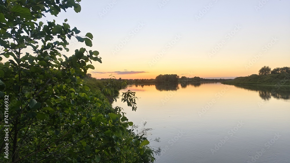 In the evening, the sun has dipped below the horizon. The colorful sunset sky is reflected in the calm river water. An alder tree grows on the grassy bank and a forest on the opposite bank