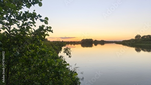 In the evening  the sun has dipped below the horizon. The colorful sunset sky is reflected in the calm river water. An alder tree grows on the grassy bank and a forest on the opposite bank