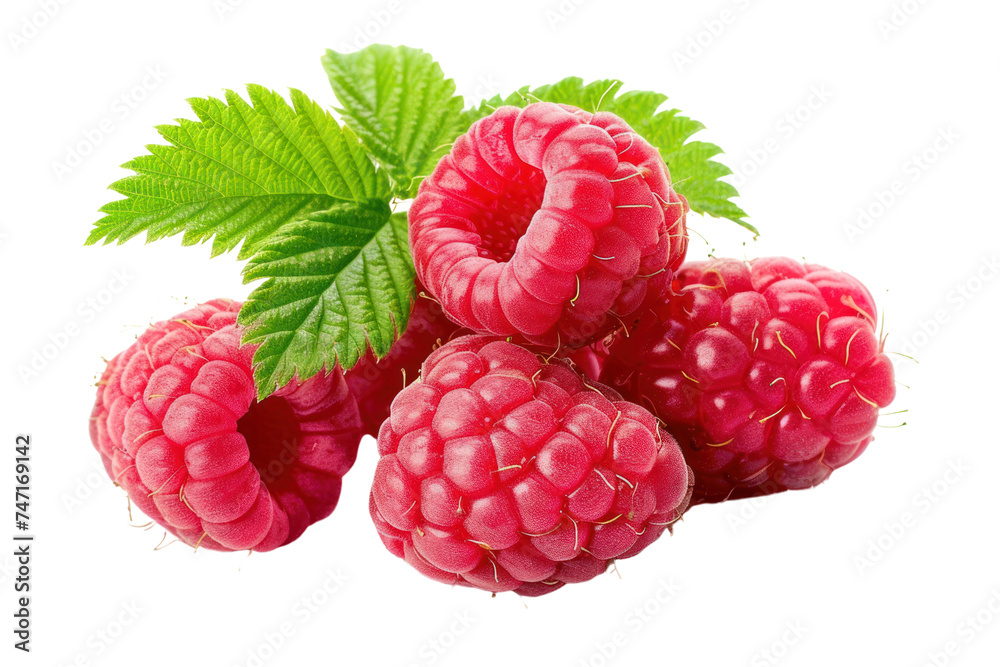 Raspberry isolated on white transparent background
