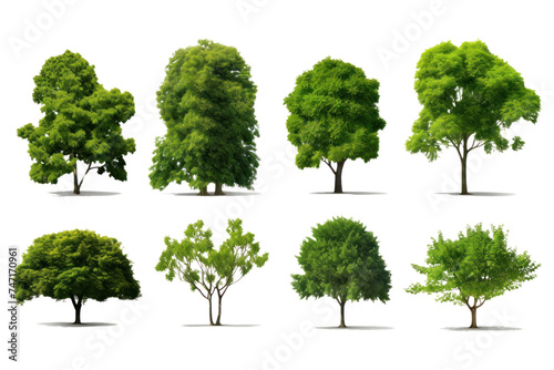 Set of green trees isolated on whiteisolated on transparent and white background.PNG image. photo