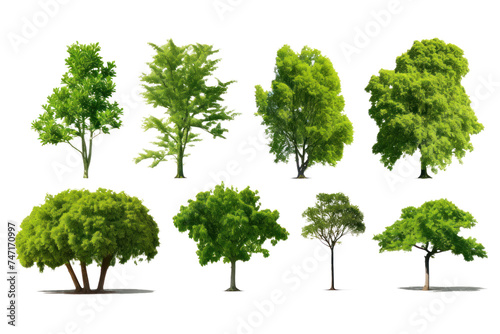 Set of green trees isolated on whiteisolated on transparent and white background.PNG image. 