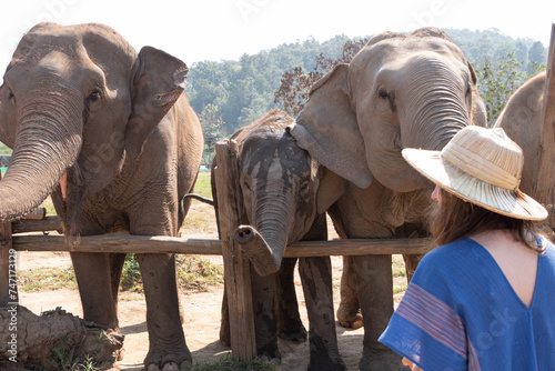 Photography Young woman feeding the elephants in a sanctuary in thailand