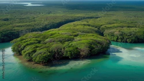 Aerial drone view of mangrove forest and sea landscape