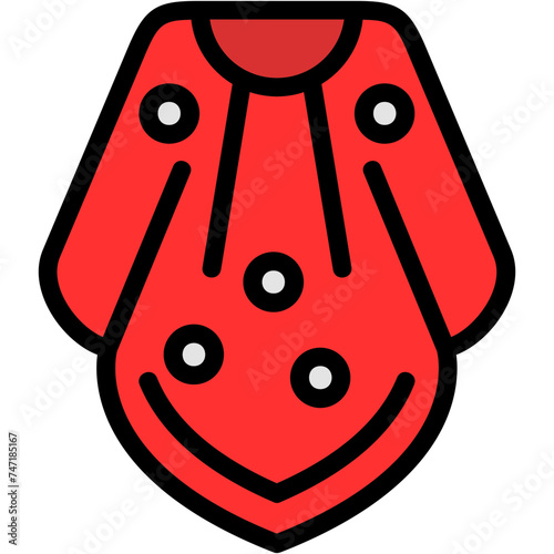 Poncho Icon