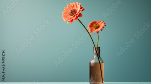 Petite fleur dans un vase, arrière-plan coloré, bleu. Nature, plante, fleurs. Espace vide de composition, fond pour conception et création graphique. photo