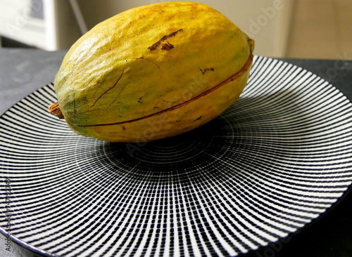 yellow husk of cocoa fruit, theobroma cacao pod on plate