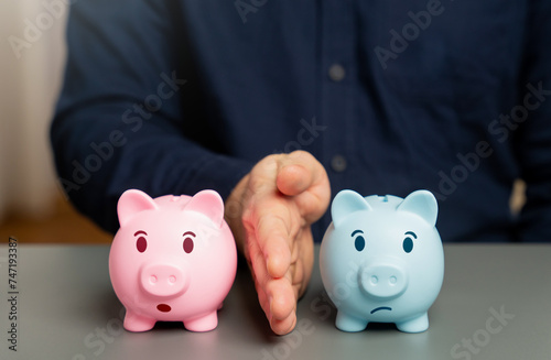 Photography Division of the family budget
