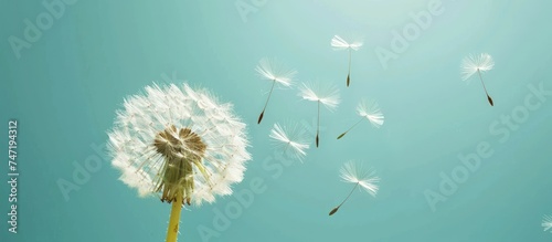 Dandelion flower with seeds flying away by wind at blue sky landscape background. AI generated image