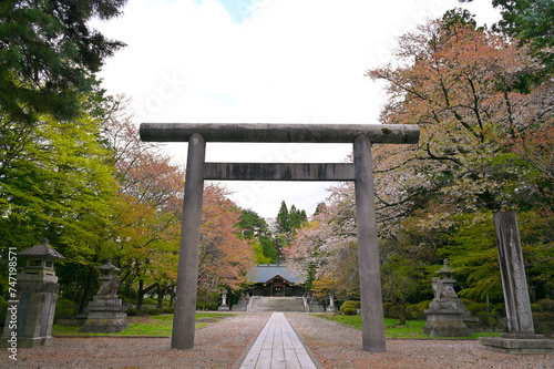 Cherry blossom or Sakura full bloom and yellow and red leave tree in Iwate Gokoku Shrine beside Morioka Hachimangu Shrine is one of the most impressive shrines of Morioka cIty, Iwate, Japan