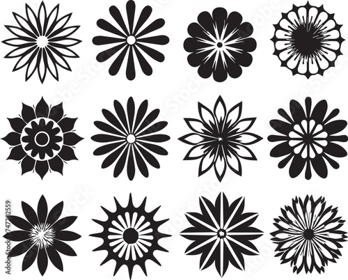 Set Flowers. Hand drawn vector illustration