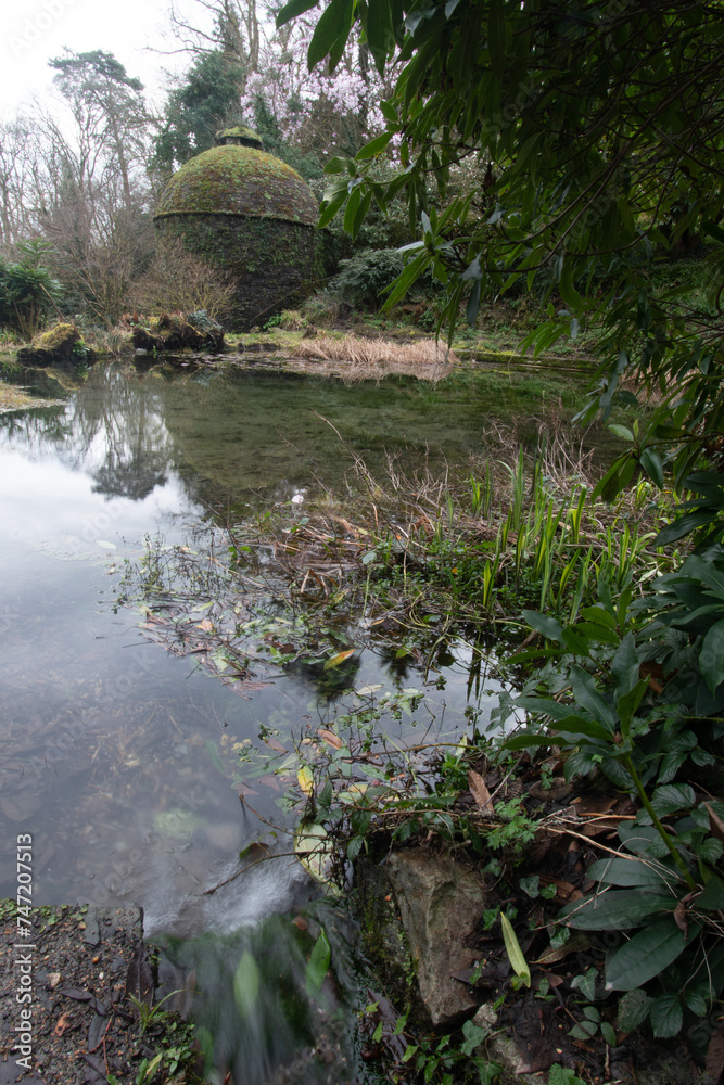 Naklejka premium A pool at Cotehele Manor Cornwall