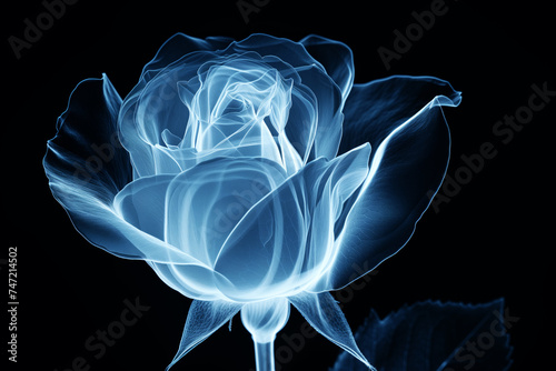 AI Generated Image. X-ray shot of the rose flower photo
