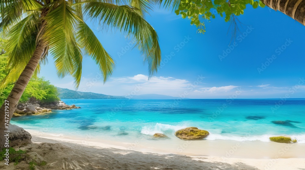 beach with palms and turquoise sea beach with palms and turquoise sea