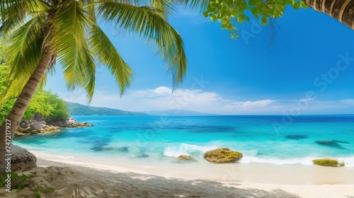 beach with palms and turquoise sea © designwala