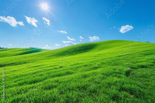 Green Field With Bright Blue Sky