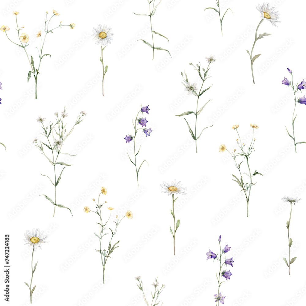 Seamless pattern watercolor meadow flower with white chamomile and violet bluebell. Repeat wallpaper forest flower yellow ranunculus. Hand drawn illustration on isolated background.