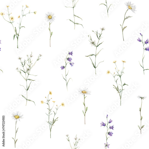 Seamless pattern watercolor meadow flower with white chamomile and violet bluebell. Repeat wallpaper forest flower yellow ranunculus. Hand drawn illustration on isolated background. © Ekatmart