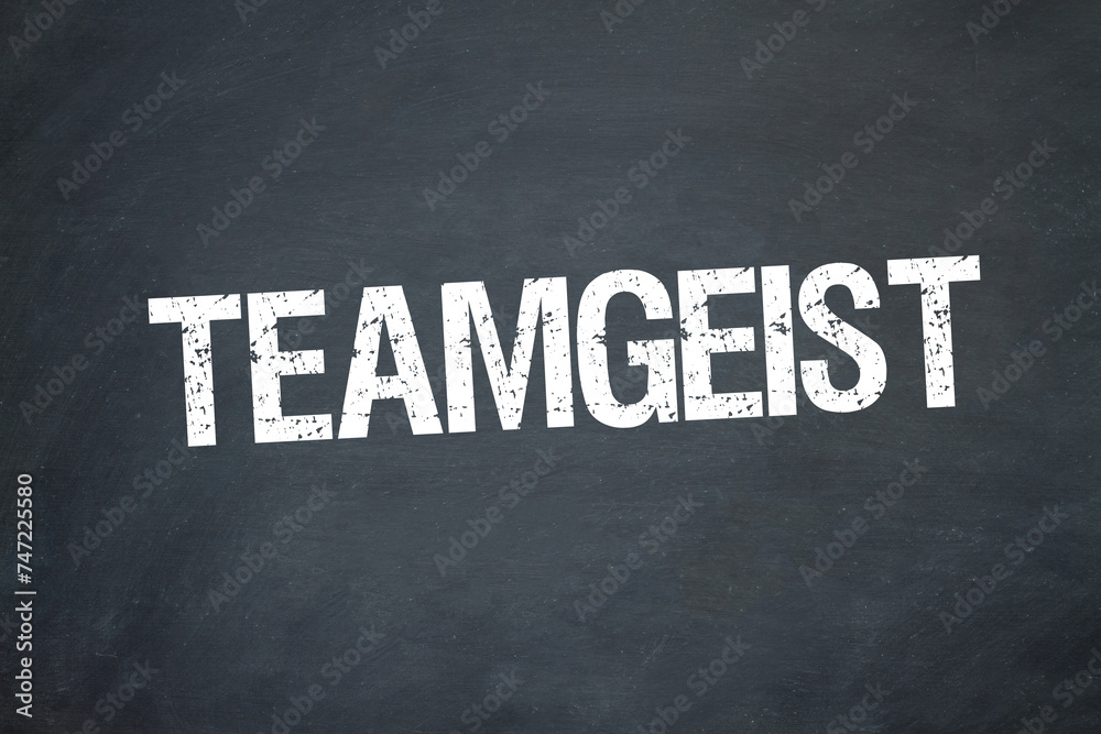 Obraz premium Teamgeist 