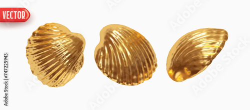 Collection gold Shell scallop. Set of Scallop seashell closed shapes of objects realistic 3d design. Design elements isolated on white background. Vector illustration