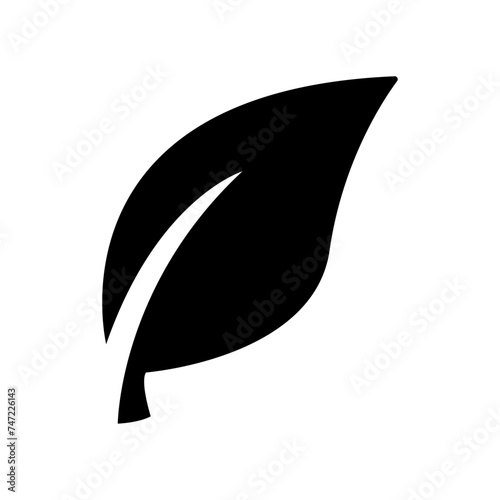Leaf Icon and Symbols isolated on white background.