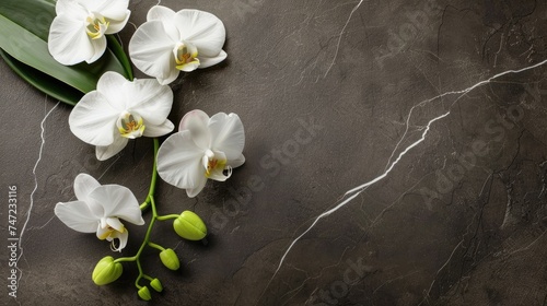 This composition showcases a series of white orchid flowers against a dark, marbled background, creating a striking contrast and aesthetic appeal
