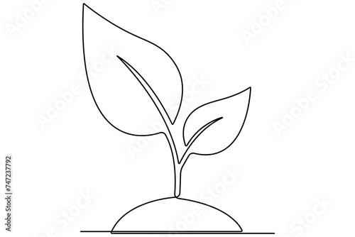 Continuous single line art drawing of plant can be for plants, agriculture, seeds outline vector