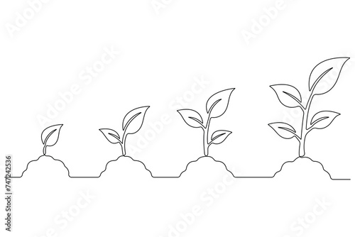 Continuous single line art drawing of plant growth processing from seed outline vector