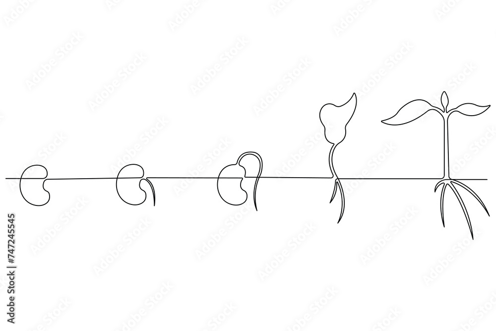 Continuous single line art drawing of plant growth processing from seed outline vector - obrazy, fototapety, plakaty 