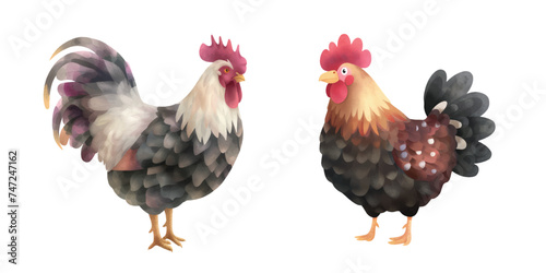 cute chicken vector watercolor illustration