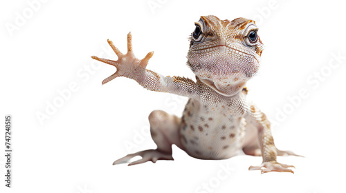 A highly detailed image of a gecko lizard making a quirky and humorous hand gesture, displayed in a lifelike pose photo